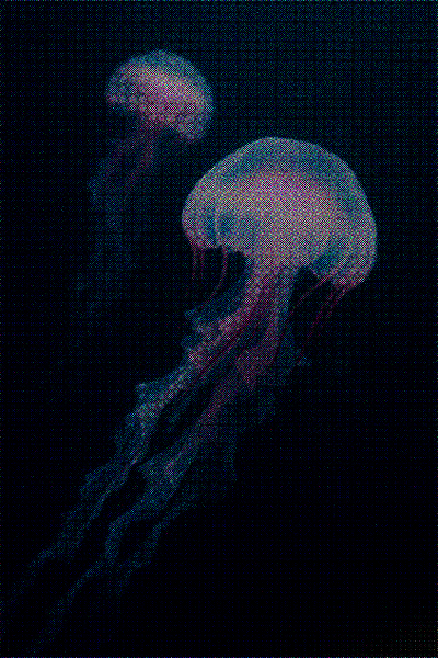 Something Interesting