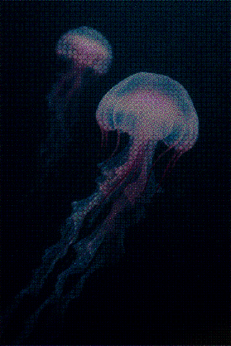 Something Interesting